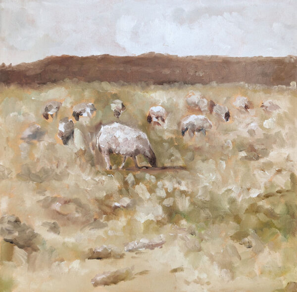 sheep1 2024 oil on canvas